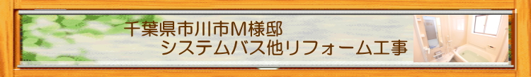 ��t���s��s�l�l�@�@�V�X�e���o�X�����t�H�[���H��